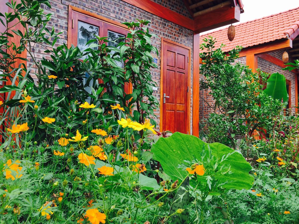 Tam Coc Friendly Homestay Ninh Binh Exterior foto