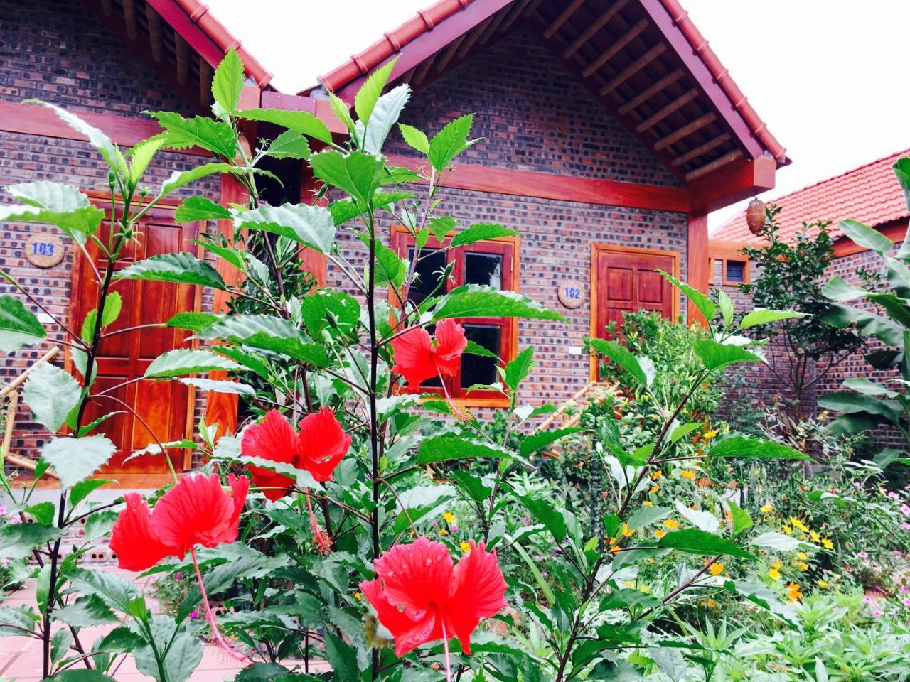Tam Coc Friendly Homestay Ninh Binh Exterior foto