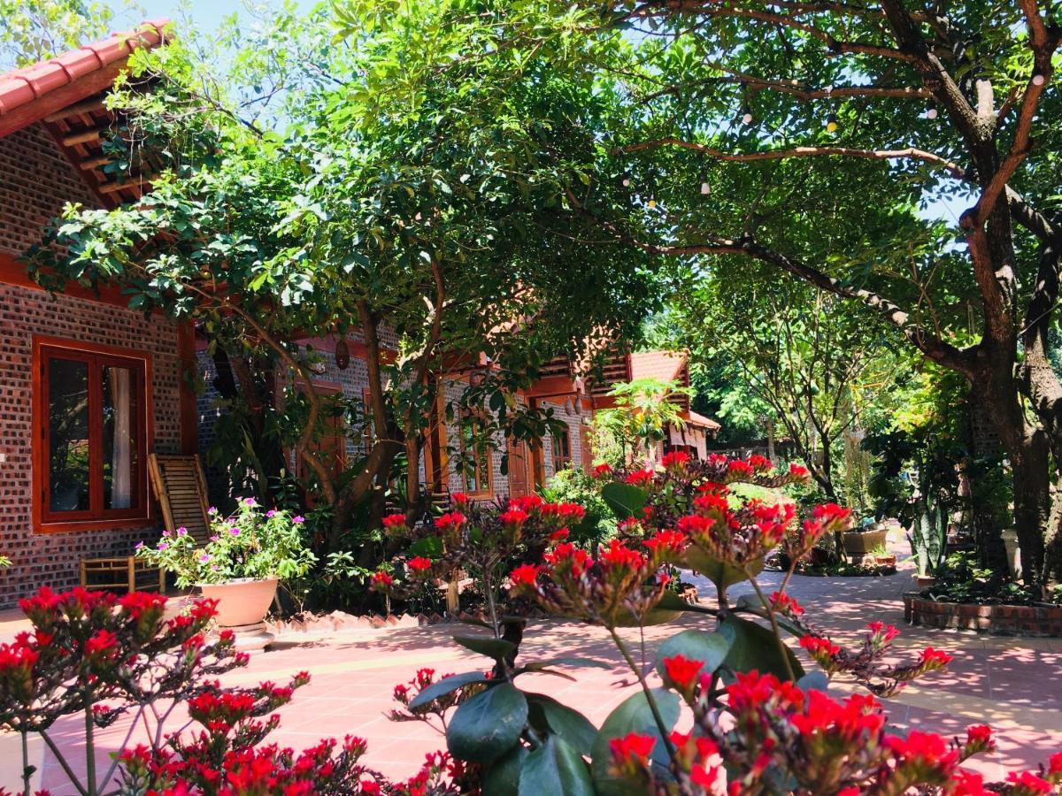 Tam Coc Friendly Homestay Ninh Binh Exterior foto